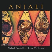 Michael Mandrell and Benjy Wertheimer - Awakening