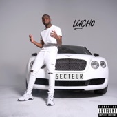 Secteur artwork