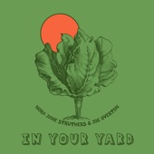 Nora Jane Struthers - In Your Yard