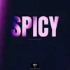 Spicy (Instrumental) - Single album lyrics, reviews, download