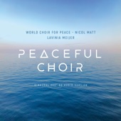 Peaceful Choir - New Sound of Choral Music (360° / 8D Binaural Version) artwork