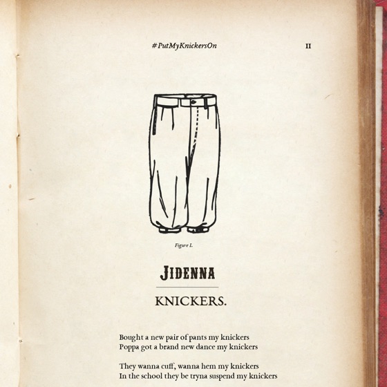 Cover artwork for Knickers