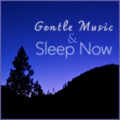 Gentle Music & Sleep Now artwork