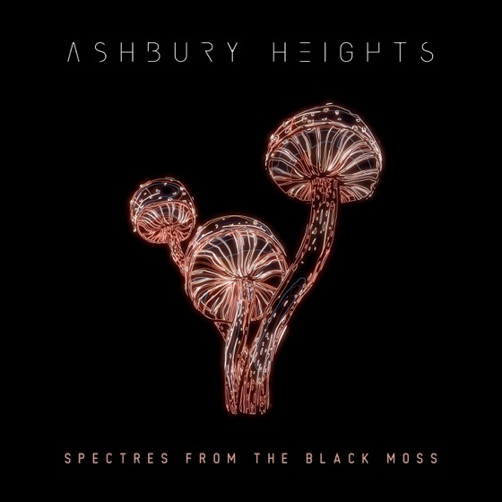 Cover artwork for Spectres from the Black Moss