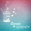 Secrets to Serenity - Spa Music Relaxation
