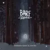 Barf (Remix) [feat. Mehrad Hidden] - Single album lyrics, reviews, download