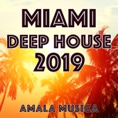 Miami Deep House 2019 artwork
