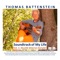 Snowflakes for Smilla (2021 Remaster) - Thomas Battenstein lyrics