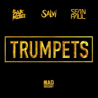 Trumpets (feat. Sean Paul) - Single by Sak Noel & Salvi album reviews, ratings, credits