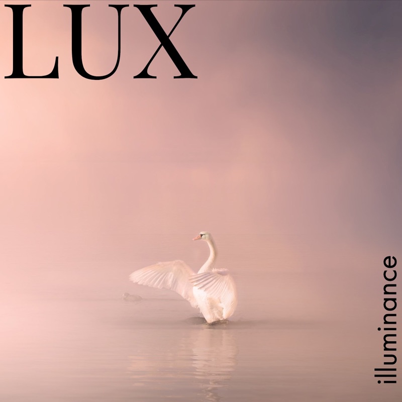 Песню lux lux