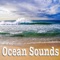 Ocean Waves At Night On Rocks - Nature Sounds lyrics