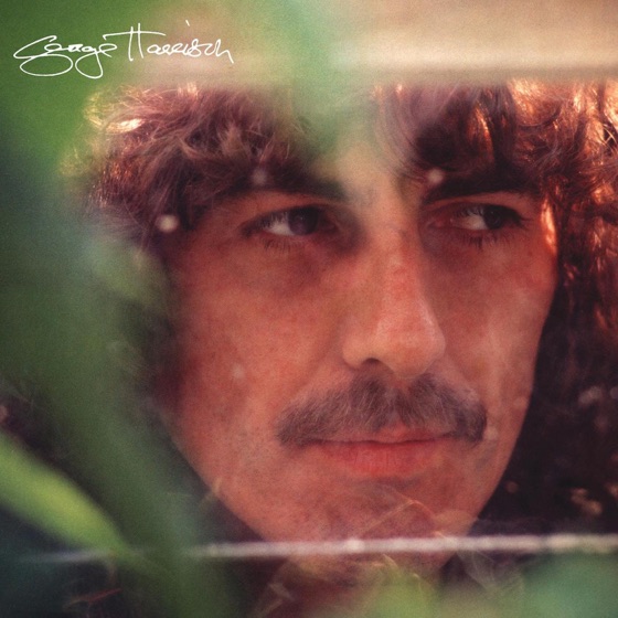 Cover artwork for If You Believe