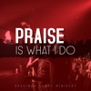 Praise Is What I Do - Single