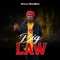 Big Law - Outlaw MuddBaby lyrics