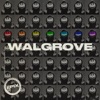 Walgrove - Winner (EPIX Remix)