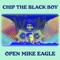 Who (feat. Open Mike Eagle) - Chip the Black Boy lyrics