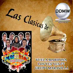 Vuela Mariposa (feat. Los Yes Yes) - Single - Grupo Maravilla Vuela Mariposa (feat. Los Yes Yes) - Single - Grupo Maravilla