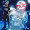 MR. 300 - Why(Mr.300)]