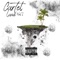 Ynw - MK-47 lyrics