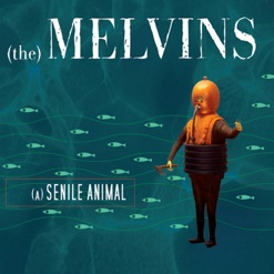 A SENILE ANIMAL cover art