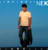 El Año Cero - Lo Mejor de Nek album lyrics, reviews, download