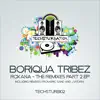 Roxana - The Remixes Part 2 Ep album lyrics, reviews, download