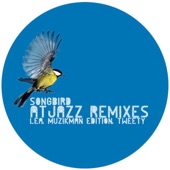 Songbird (feat. Tweety) [Atjazz Love Soul Remix Radio Edit] artwork