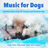 Music for Dogs: Soothing Sleep Songs for Anxious and Stressed Dogs - Help Your Dog Stay Calm and Happy album lyrics, reviews, download