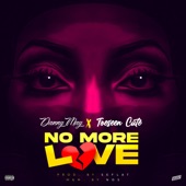 No More Love (feat. Toeseen Cute) artwork