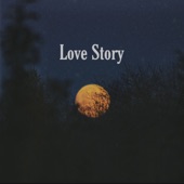 Love Story artwork