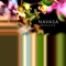 Hidden Sun - NAVASA lyrics