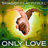 Only Love (feat. Pitbull & Gene Noble) - Shaggy