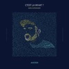 C'est la what ? (100% Coton Edit) [100% Coton Edit] - Single
