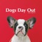 Dogs Day Out - Jörgen Aggeklint lyrics
