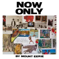 Now Only by Mount Eerie album reviews, ratings, credits