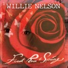 Willie Nelson - I'm the Only Hell My Mama Ever Raised