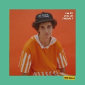 Can We Still Be Friends? by Ron Gallo