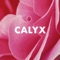 Calyx - Andrew Huang lyrics