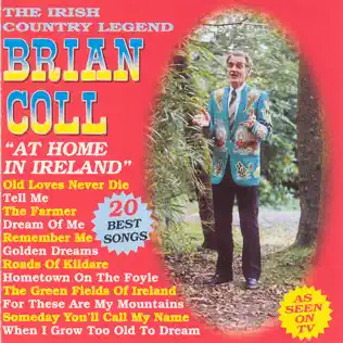 baixar álbum Brian Coll - At Home In Ireland