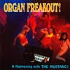 Organ Freakout! (Remastered from the Original Somerset Tapes)