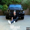 Want - Single