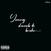 Young Dumb & Broke artwork