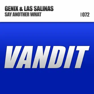 Say Another What - EP by Genix & Las Salinas album reviews, ratings, credits