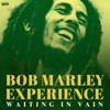 Bob Marley Experience - Waiting in Vain