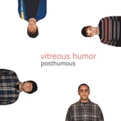 Vitreous Humor - Fashion Anyway