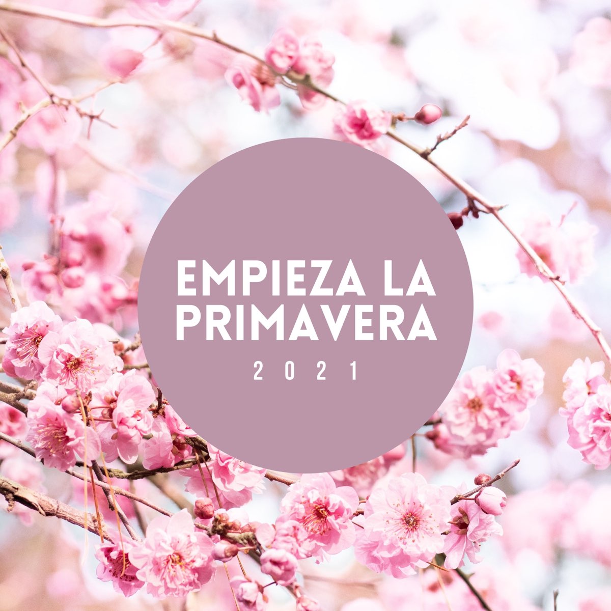 Empieza La Primavera 2021 Coleccion De Canciones Para Tener Un Cambio De Estacion Feliz Von Fiesta De La Primavera Bei Apple Music
