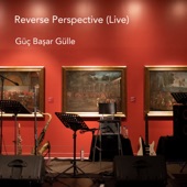 Reverse Perspective (Live) artwork