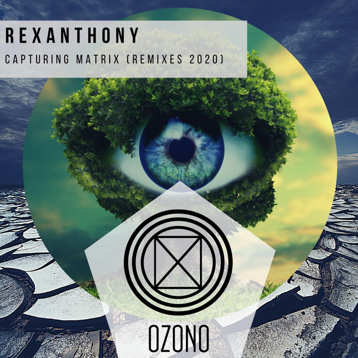 Remixes 2020. Rexanthony.