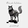 Black Catcher - Single album lyrics, reviews, download