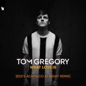 What Is Love (Edx's Acapulco at Night Remix) artwork